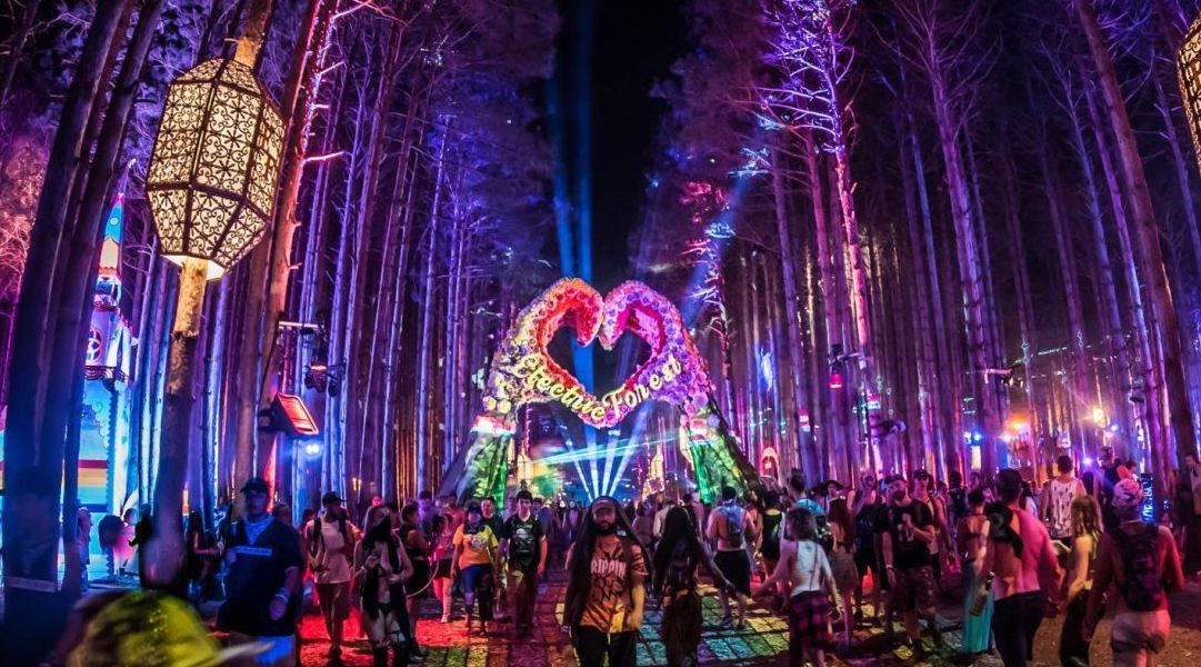 Hidden Features to Check Out at Electric Forest