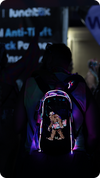 Lunchbox Packs
