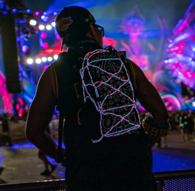 Individual Lightshow Wires (with Battery Pack)